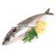 frozen pacific mackerel fish whole round frozen fish scomber japonicus