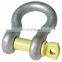 Adjustable Stainless Steel Snap Shackle Screw Pin Dee Shackle for Railway