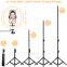 Desktop Dimmable 10 Inch Ring Light WMakeup Tik Tok Live Ringlights 10 Inch 26 Cm Led Ring Light With Tripod Stan