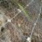 300 Mesh Size Rockfall Protection Wire Rope Net With Welding & Bending for Long-Life Railway Side Slope Stabilization