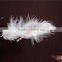 Wholesale DIY Craft Turkey Feather White Craft Feather And Decoration Feather For Sale