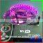 WIFI rgb controller for RGB LED Strip/ RGB LED Module/RGB LED Wall washer light