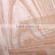 Top quality HDF melamine moulded door skin/Cheaper door skin                        
                                                Quality Choice