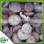 Frozen Iqf Shiitake Mushroom/champignon/xianggu/lentinus Edodes