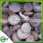 Frozen Shiitake Mushroom Cultivation