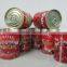 2050 cartons per container,fresh sachet tomato ,tomato ketchup