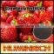 Huminrich Shenyang Humate 65%Humic Acid Kinds Of Foliar Fertilizer