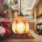 Pastel hollow designer pendant light restaurant pendant lighting