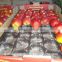 FDA Approval Custom-Made Different Types Gillian's PP Plastic Fruit Tray