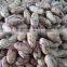 we are supplying speckle kidney beans for sale