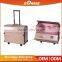 Top Quality Beauty Pink Vanity Clear Box Cosmetic Cases
