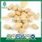 Drop Ship Promotion Export Good Taste Siberian Pine Nut Kernels