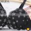 Hot Design Breathable Ladies Underwear Women Underwear Sexy Bra Set