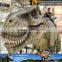 MY Dino-C023 Lifelike fierce dinosaur models for adventure park