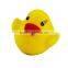 duck toys,bath toys,rubber ducks manufacturer