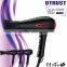 China Fashion ionic function Soft beauty salon hair dryer stand 1200w