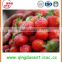 Shandong new crop high quality fresh sweet strawberry