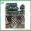 out door plants-3 layer ficus cage-4.5meter