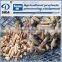 Cassava chips making machine | cassava chips machine