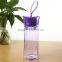 2016 Amazon BPA Free Promotional Christmas Gift Leak Proof Reusable Plastic Drinking Water Bottle For Sports 650ml/750ml