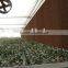 Axial flow fan 550mm poultry farm ventilation fans blower foshan