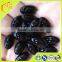HACCP factory supply most secure propolis soft capsule with 30% propolis