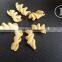 India wheat pellet extruder machinery