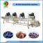 Hot selling industry air blow dehydration machine for vegetable and fruits,automatic air blow drying conveyor