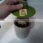 Silicone Tea Bag Buddy And Cup Cover Lid