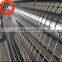 Wholesales High tensile PP Biaxial plastic protect-support geogrids