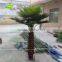 GNW APM028 Best Quality 20ft High Coconut Palm Tree For Park Outdoor Use