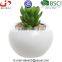 Glazed White Small Round Modern Ceramic Succulent Planter Pot