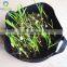 Durable and breathable felt fabric grow pot for potato and strawberry