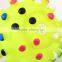 Colorful Pet Dog Cat Squeak Toy Ball Lovely Cat Chewing Ball Squeaker Quack Sound Toy