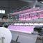 2016 hot sale beddings quilting machine(CSDS110"-2)