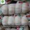 Chinese fresh garlic normal white garlic pure white garlic dry garlic