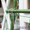 green vegetable climbing Netting supplier/plastic plants support net/cucumber support net