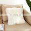 Indoor Carpet Soft Polyester Fake Fur Rug