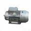 NEMA Standard Premium Efficiency Cast Iron Three Phase Electric Motor