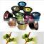 martello coffee capsule filling and packing machine