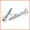 China supplier stainless steel 316 anti-theft screws