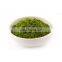 high quality cheap price 100% natural pure organic barley grass powder extract