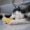 shark shape second mold injection Pet dog chew toy Dog Molar Bite Toys for Aggressive Stick Teeth Cleaning Toys