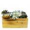 Wood vintage planter box outdoor