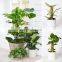 Wholesale Decorative Sticks Climbing Creative Labels Moss Garden Support Plant Stakes