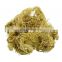 Wholesale High Quality Wildcrafted Dried Irish Sea Moss For Resell FBA With Free Custom Logo Bag From Vietnam