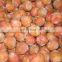 Sinocharm BRC-A approved IQF lychee with skin Frozen Lychee