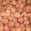 Sinocharm BRC Approved Fresh Non Worn Sweet Organic IQF Whole Lychee Frozen Lychee