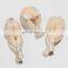cleaned skinless bull frog leg meat frozen frog legs for sale