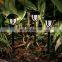 Led Solar Lawn Light Outdoor Garden Decoration Plug-in Lamp for Pathway Landscape